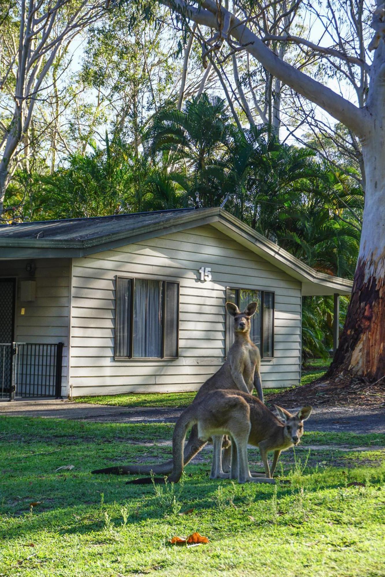 Big4 Noosa North Shore Zewnętrze zdjęcie