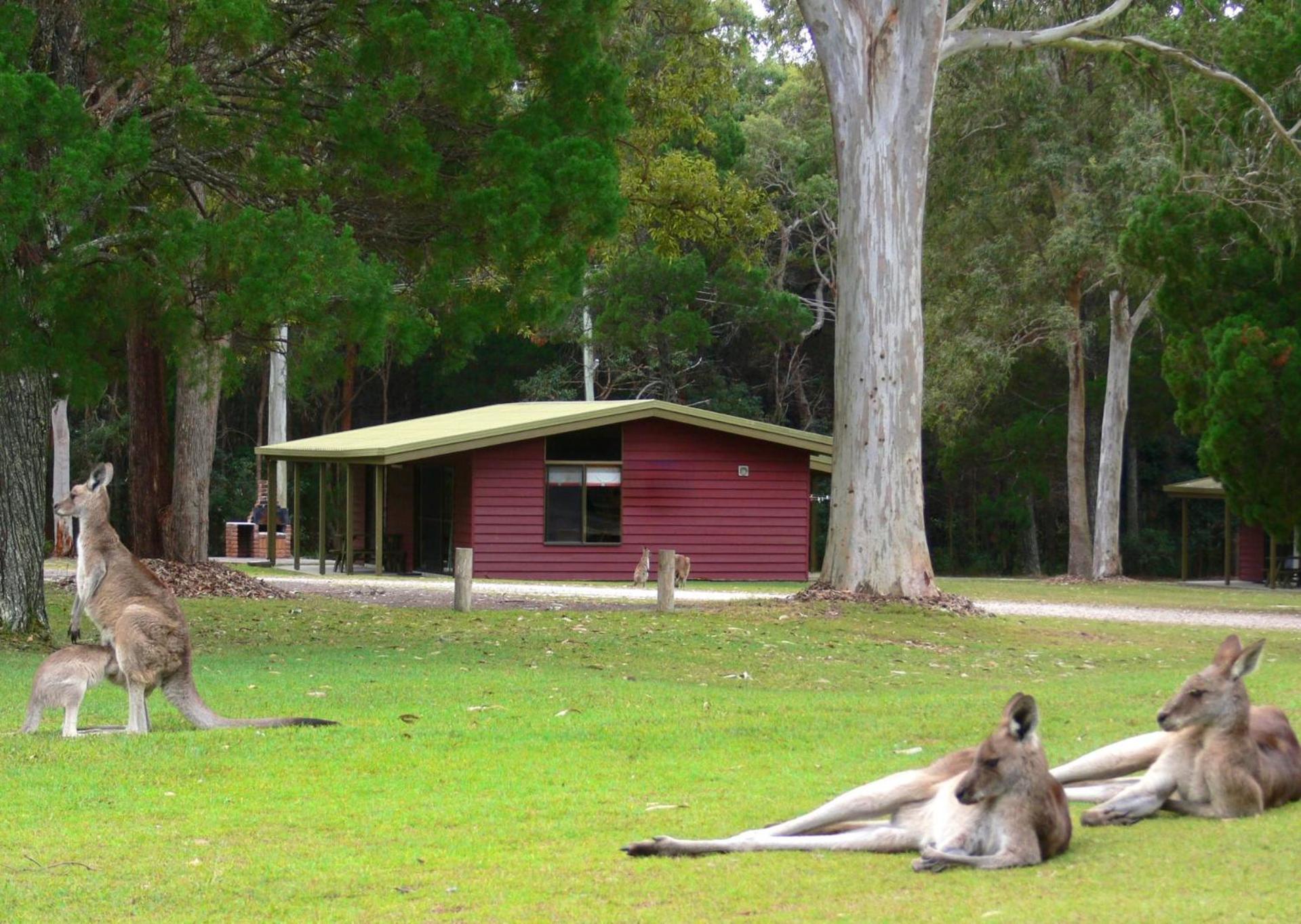 Big4 Noosa North Shore Zewnętrze zdjęcie